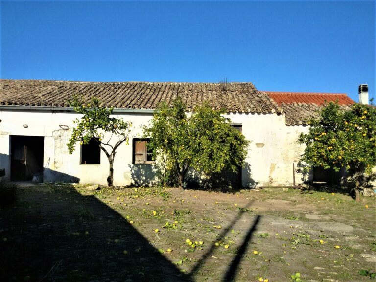 Barumini Terratetto unifamiliare 230 mq da ristrutturare – rif.MS57