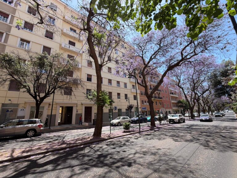 Cagliari, Via Dante: Esavano di 166 mq con ascensore – rif.AM20