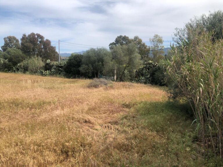 Ampio terreno recintato di 6300 mq ca. – rif MO81