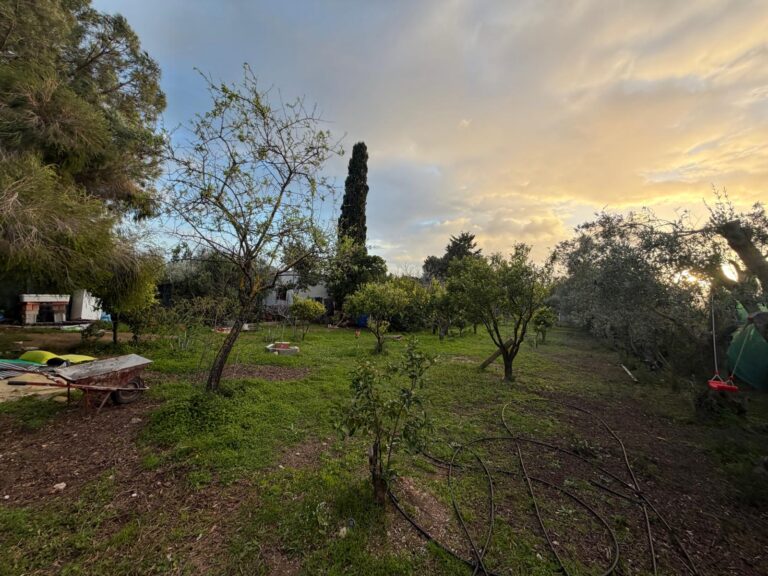 Terreno agricolo pressi Diverland – rif.RR273